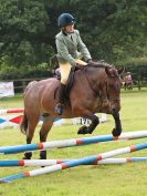 Image 153 in BECCLES AND BUNGAY RIDING CLUB. OPEN SHOW. 19 JUNE 2016. SHOW JUMPING.