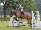 Image 154 in BECCLES AND BUNGAY RIDING CLUB. OPEN SHOW. 19 JUNE 2016. SHOW JUMPING.