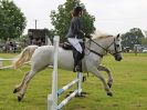 Image 157 in BECCLES AND BUNGAY RIDING CLUB. OPEN SHOW. 19 JUNE 2016. SHOW JUMPING.