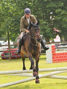 Image 161 in BECCLES AND BUNGAY RIDING CLUB. OPEN SHOW. 19 JUNE 2016. SHOW JUMPING.