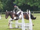 Image 169 in BECCLES AND BUNGAY RIDING CLUB. OPEN SHOW. 19 JUNE 2016. SHOW JUMPING.