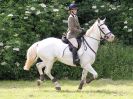 Image 170 in BECCLES AND BUNGAY RIDING CLUB. OPEN SHOW. 19 JUNE 2016. SHOW JUMPING.
