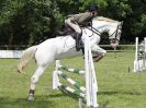 Image 171 in BECCLES AND BUNGAY RIDING CLUB. OPEN SHOW. 19 JUNE 2016. SHOW JUMPING.