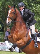 Image 179 in BECCLES AND BUNGAY RIDING CLUB. OPEN SHOW. 19 JUNE 2016. SHOW JUMPING.