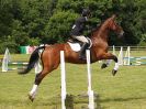 Image 182 in BECCLES AND BUNGAY RIDING CLUB. OPEN SHOW. 19 JUNE 2016. SHOW JUMPING.