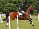 Image 183 in BECCLES AND BUNGAY RIDING CLUB. OPEN SHOW. 19 JUNE 2016. SHOW JUMPING.