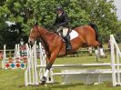 Image 186 in BECCLES AND BUNGAY RIDING CLUB. OPEN SHOW. 19 JUNE 2016. SHOW JUMPING.
