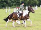 Image 187 in BECCLES AND BUNGAY RIDING CLUB. OPEN SHOW. 19 JUNE 2016. SHOW JUMPING.