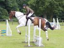 Image 190 in BECCLES AND BUNGAY RIDING CLUB. OPEN SHOW. 19 JUNE 2016. SHOW JUMPING.