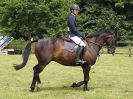 Image 196 in BECCLES AND BUNGAY RIDING CLUB. OPEN SHOW. 19 JUNE 2016. SHOW JUMPING.
