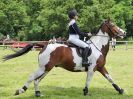 Image 218 in BECCLES AND BUNGAY RIDING CLUB. OPEN SHOW. 19 JUNE 2016. SHOW JUMPING.