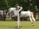 Image 224 in BECCLES AND BUNGAY RIDING CLUB. OPEN SHOW. 19 JUNE 2016. SHOW JUMPING.