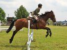Image 237 in BECCLES AND BUNGAY RIDING CLUB. OPEN SHOW. 19 JUNE 2016. SHOW JUMPING.