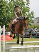 Image 238 in BECCLES AND BUNGAY RIDING CLUB. OPEN SHOW. 19 JUNE 2016. SHOW JUMPING.
