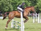 Image 245 in BECCLES AND BUNGAY RIDING CLUB. OPEN SHOW. 19 JUNE 2016. SHOW JUMPING.