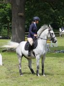 Image 250 in BECCLES AND BUNGAY RIDING CLUB. OPEN SHOW. 19 JUNE 2016. SHOW JUMPING.