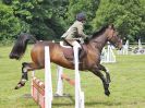 Image 253 in BECCLES AND BUNGAY RIDING CLUB. OPEN SHOW. 19 JUNE 2016. SHOW JUMPING.