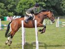Image 254 in BECCLES AND BUNGAY RIDING CLUB. OPEN SHOW. 19 JUNE 2016. SHOW JUMPING.