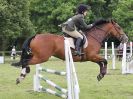 Image 32 in BECCLES AND BUNGAY RIDING CLUB. OPEN SHOW. 19 JUNE 2016. SHOW JUMPING.