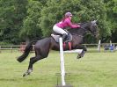 Image 51 in BECCLES AND BUNGAY RIDING CLUB. OPEN SHOW. 19 JUNE 2016. SHOW JUMPING.