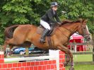 Image 61 in BECCLES AND BUNGAY RIDING CLUB. OPEN SHOW. 19 JUNE 2016. SHOW JUMPING.