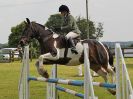 Image 9 in BECCLES AND BUNGAY RIDING CLUB. OPEN SHOW. 19 JUNE 2016. SHOW JUMPING.