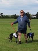 Image 29 in WHIPPET RACING. EA OPEN 26 JUNE 2016. THE FINALS AND SUPREMES