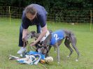 Image 37 in WHIPPET RACING. EA OPEN 26 JUNE 2016. THE EARLY ROUNDS