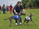 Image 76 in WHIPPET RACING. EA OPEN 26 JUNE 2016. THE EARLY ROUNDS