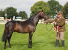 ROYAL NORFOLK SHOW 2016. DAY 1.