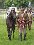 Image 10 in ROYAL NORFOLK SHOW 2016. DAY 1.