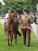 Image 11 in ROYAL NORFOLK SHOW 2016. DAY 1.