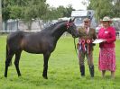 Image 14 in ROYAL NORFOLK SHOW 2016. DAY 1.