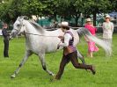 Image 15 in ROYAL NORFOLK SHOW 2016. DAY 1.