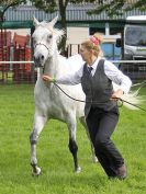 Image 17 in ROYAL NORFOLK SHOW 2016. DAY 1.