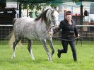 Image 19 in ROYAL NORFOLK SHOW 2016. DAY 1.