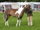 Image 2 in ROYAL NORFOLK SHOW 2016. DAY 1.