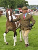 Image 3 in ROYAL NORFOLK SHOW 2016. DAY 1.