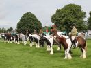 Image 31 in ROYAL NORFOLK SHOW 2016. DAY 1.