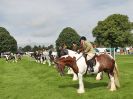 Image 32 in ROYAL NORFOLK SHOW 2016. DAY 1.