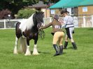 Image 34 in ROYAL NORFOLK SHOW 2016. DAY 1.