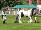 Image 36 in ROYAL NORFOLK SHOW 2016. DAY 1.