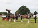 Image 39 in ROYAL NORFOLK SHOW 2016. DAY 1.