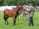 Image 4 in ROYAL NORFOLK SHOW 2016. DAY 1.