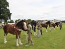 Image 41 in ROYAL NORFOLK SHOW 2016. DAY 1.