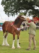 Image 42 in ROYAL NORFOLK SHOW 2016. DAY 1.