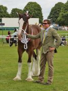 Image 43 in ROYAL NORFOLK SHOW 2016. DAY 1.