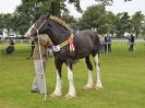 Image 44 in ROYAL NORFOLK SHOW 2016. DAY 1.