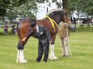 Image 45 in ROYAL NORFOLK SHOW 2016. DAY 1.