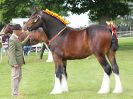 Image 48 in ROYAL NORFOLK SHOW 2016. DAY 1.